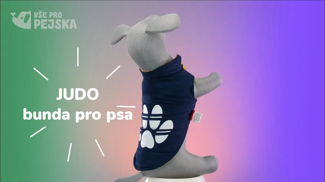 Náhled videa