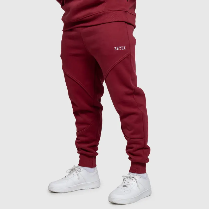 Pánské tepláky Iron Aesthetics ASTHX, bordové