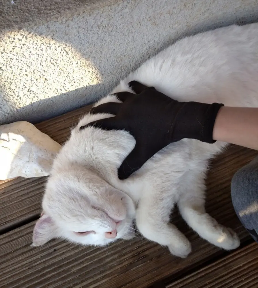 Jožánek Dětské rukavice na ekzém pro atopiky – černé od 8 let