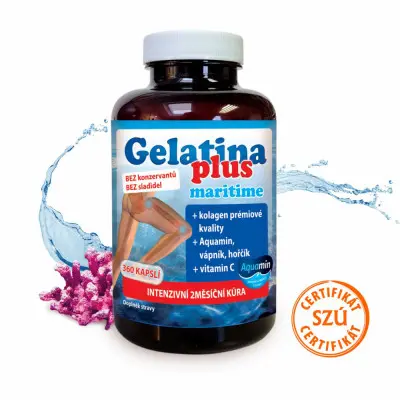 Gelatina Plus maritime 360cps