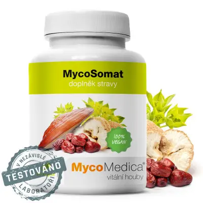 MycoSomat 90 cps