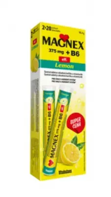 Magnex 375mg+B6 eff. Lemon šumivých tbl.2x20
