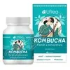 Liftea Kombucha Paměť a koncentrace 60 tobolek