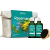 Weleda Dárková sada Rosemary Hair Ritual Set