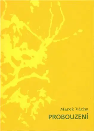 Probouzení - Marek Vácha