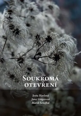 Soukromá otevření