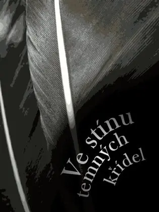 Ve stínu temných křídel