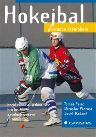 Hokejbal