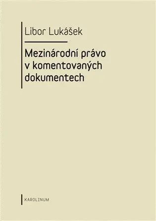 Visegrádská skupina a její vývoj v letech 1991-2004
