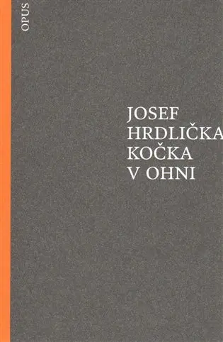 Kočka v ohni