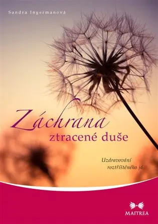 Záchrana ztracené duše - Uzdravování roztříštěného já
