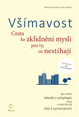 Všímavost