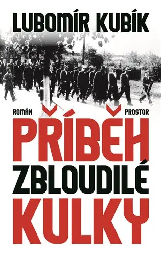 Příběh zbloudilé kulky - Lubomír Kubík