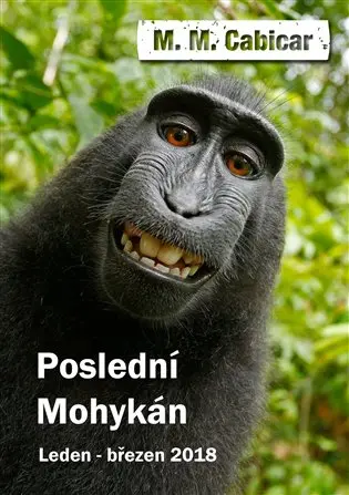 Poslední Mohykán