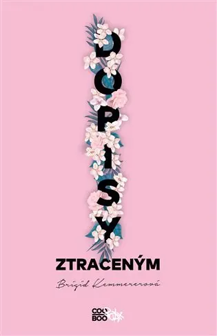 Dopisy ztraceným - Brigid Kemmererová