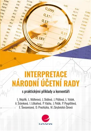 Interpretace Národní účetní rady