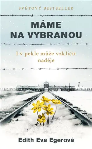 Máme na vybranou