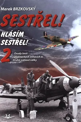 Sestřel! Hlásím sestřel! 2