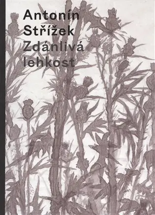 Zdánlivá lehkost