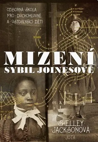 Mizení Sybil Joinesové - Shelley Jacksonová