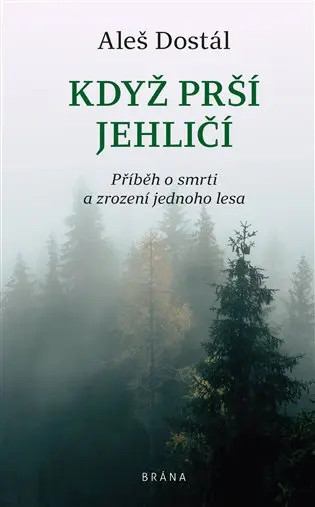 Když prší jehličí