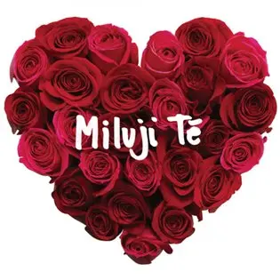 Miluji tě