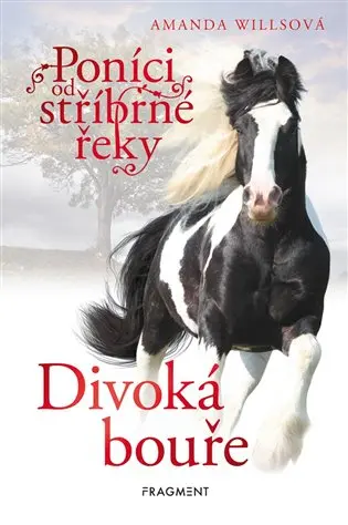 Poníci od stříbrné řeky – Divoká bouře - Amanda Willsová