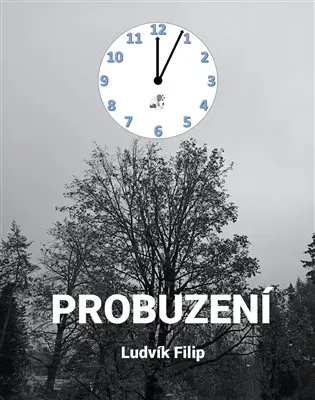 Probuzení