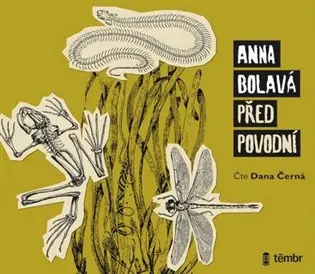 CD Před povodní (audiokniha) - Anna Bolavá