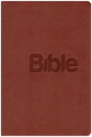 Bible 21