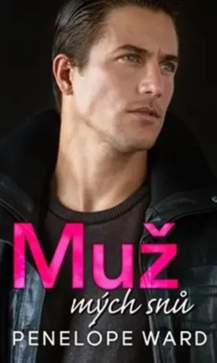 Muž mých snů