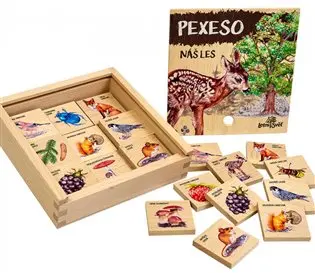 Dřevěné pexeso - náš les