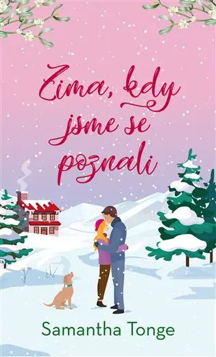 Zima, kdy jsme se poznali