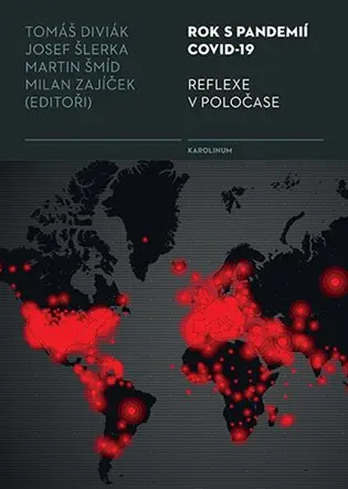 Rok s pandemií covid-19. Reflexe v poločase