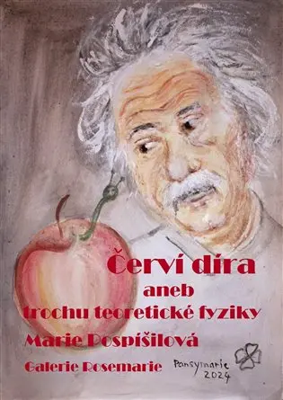 Červí díra aneb trochu teoretické fyziky