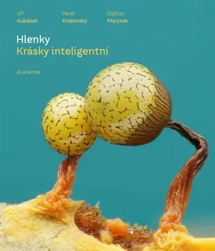 Hlenky - Krásky inteligentní - Pavel Krásenský