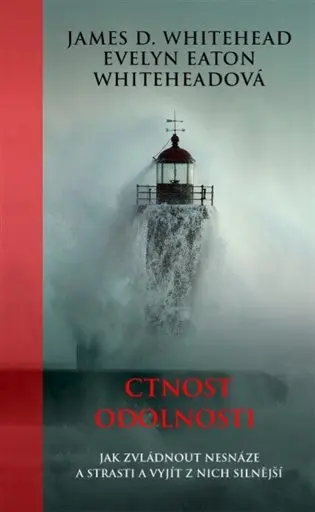 Ctnost odolnosti