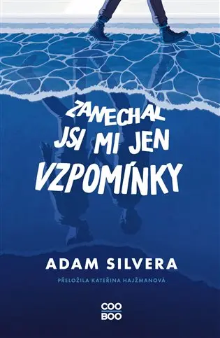 Zanechal jsi mi jen vzpomínky - Adam Silvera