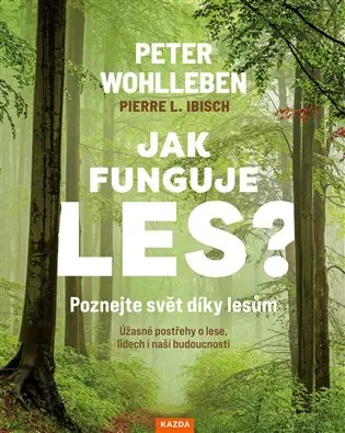 Jak funguje les? Poznejte svět díky lesům