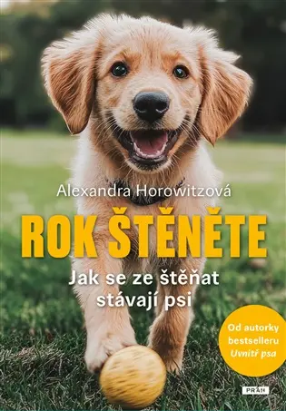 Rok štěněte