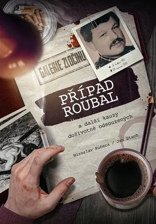 Případ Roubal a další kauzy doživotně odsouzených -  Jan Stach