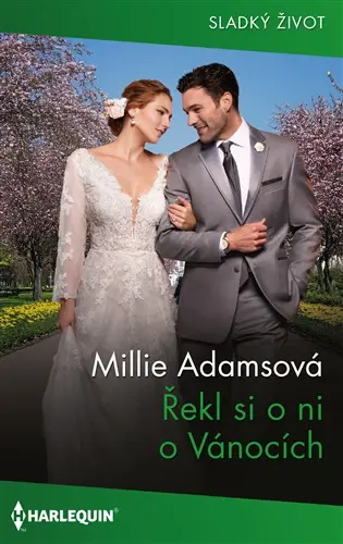 Řekl si o ni o Vánocích