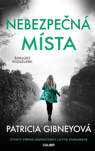Nebezpečná místa