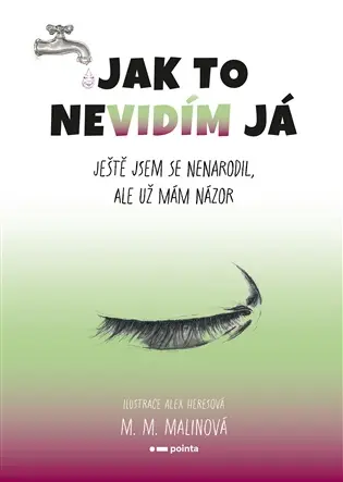 Jak to nevidím já