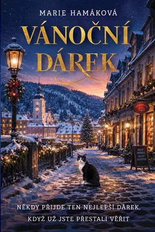Vánoční dárek