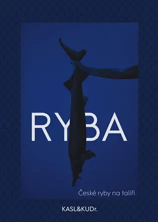 Ryba: české ryby na talíři