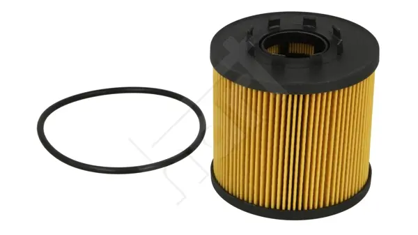 Filtr ol.espace,laguna,master 2.2dci 00-