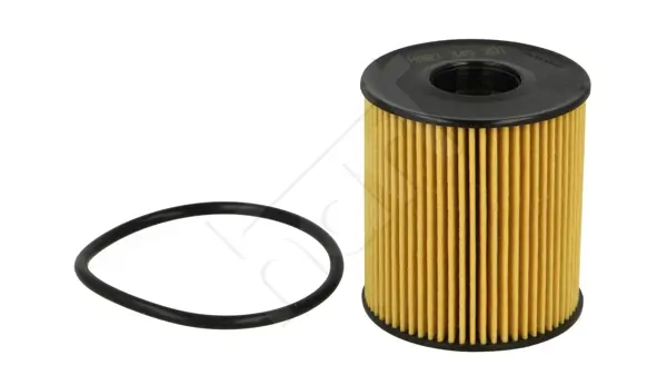 Filtr ol.boxer 2.2hdi 06-