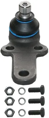 Čep focus /l+p/