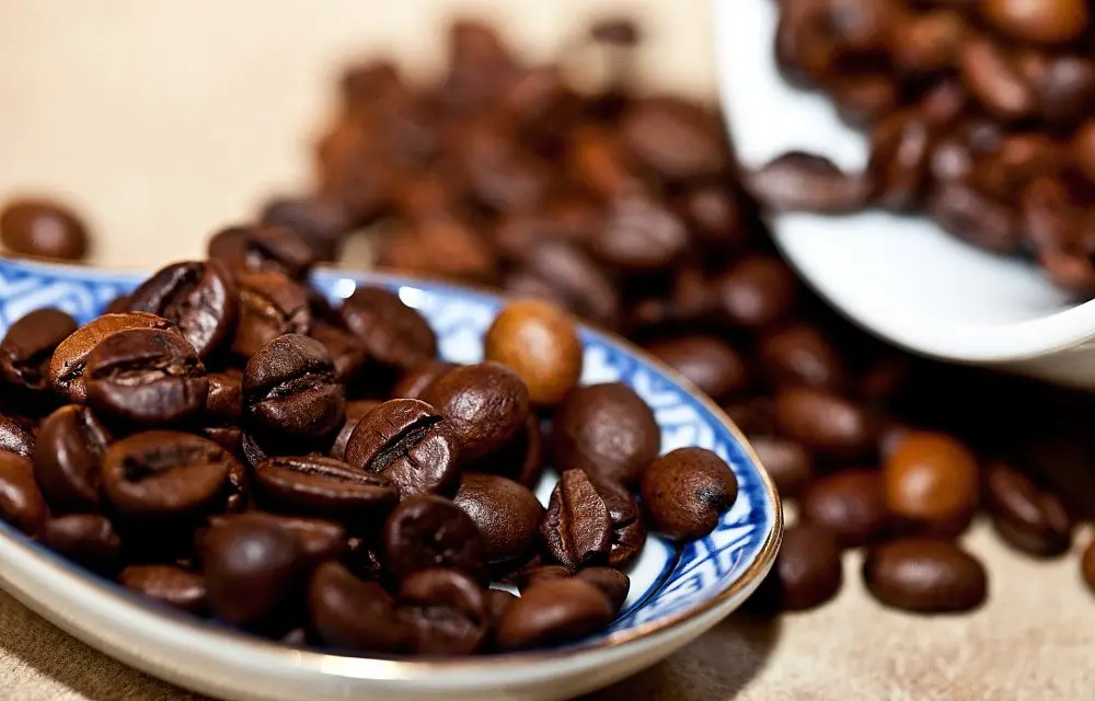 COSTA RICA LA PASTORA TARRAZU 250g